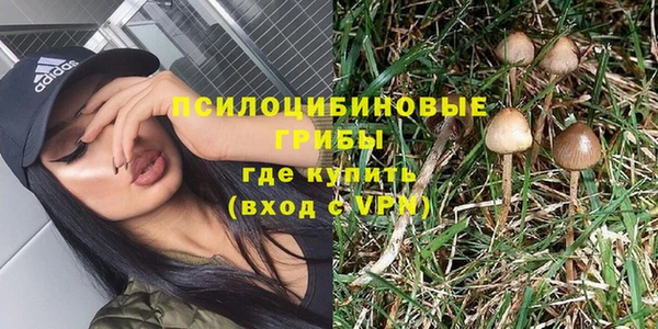 ешки Бугульма