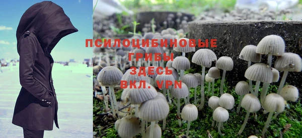 ешки Бугульма