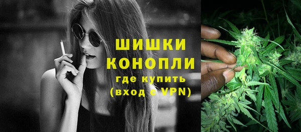 гидра Нестеровская
