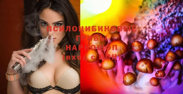 спайс Бородино