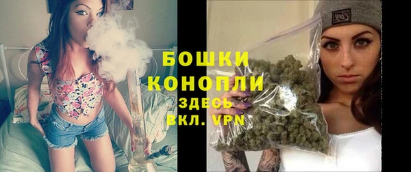 спайс Бородино
