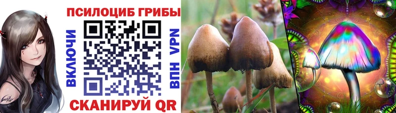 Псилоцибиновые грибы GOLDEN TEACHER  Весьегонск 